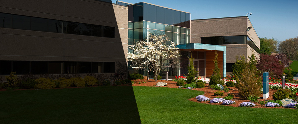 Lansdale Landscapers