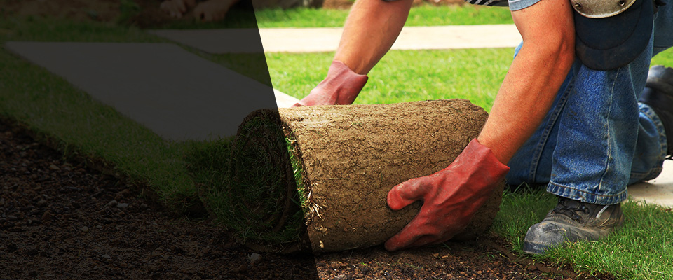 Lansdale Landscapers